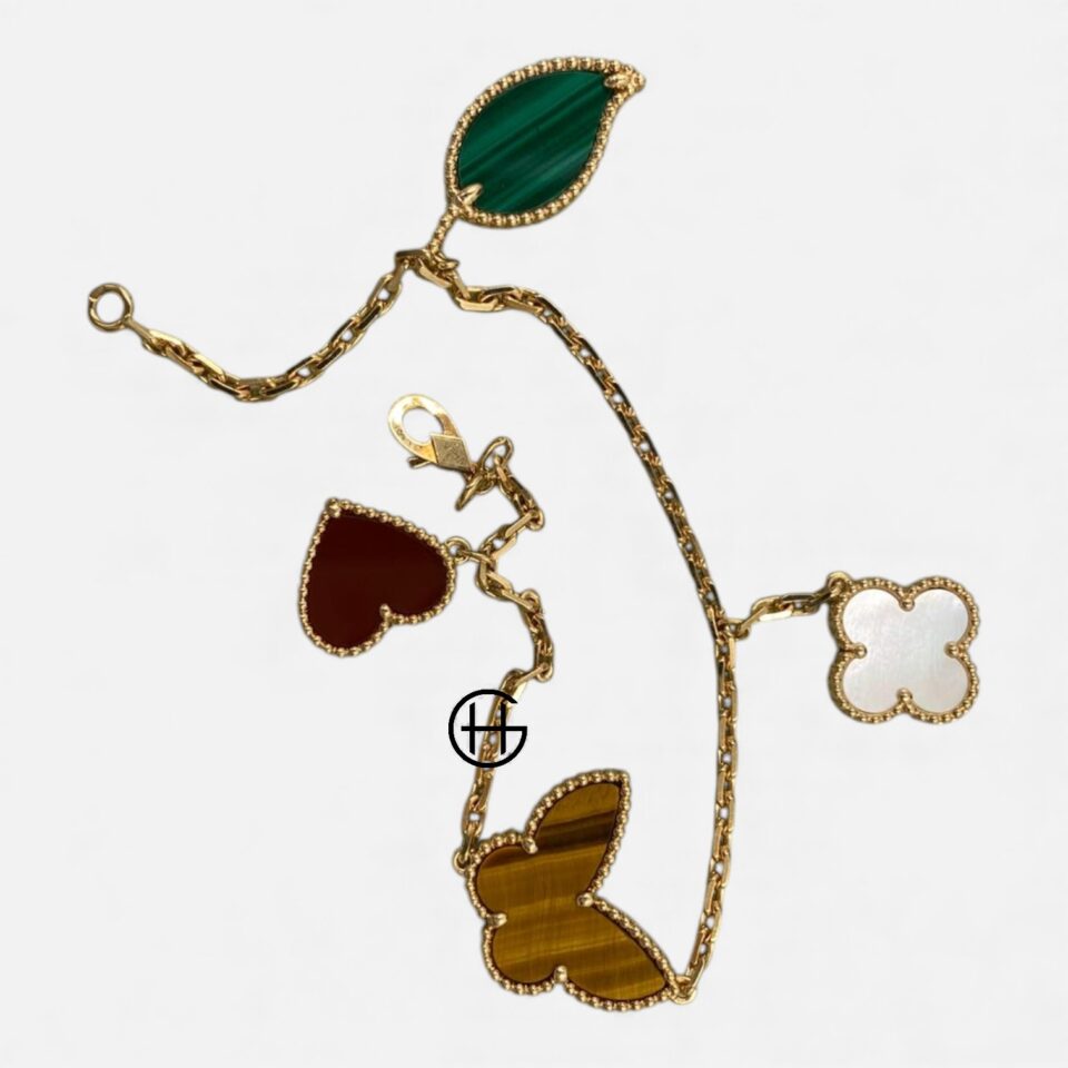 WhatsApp Image 2025-10-15 at 5.57.04 PM (1)