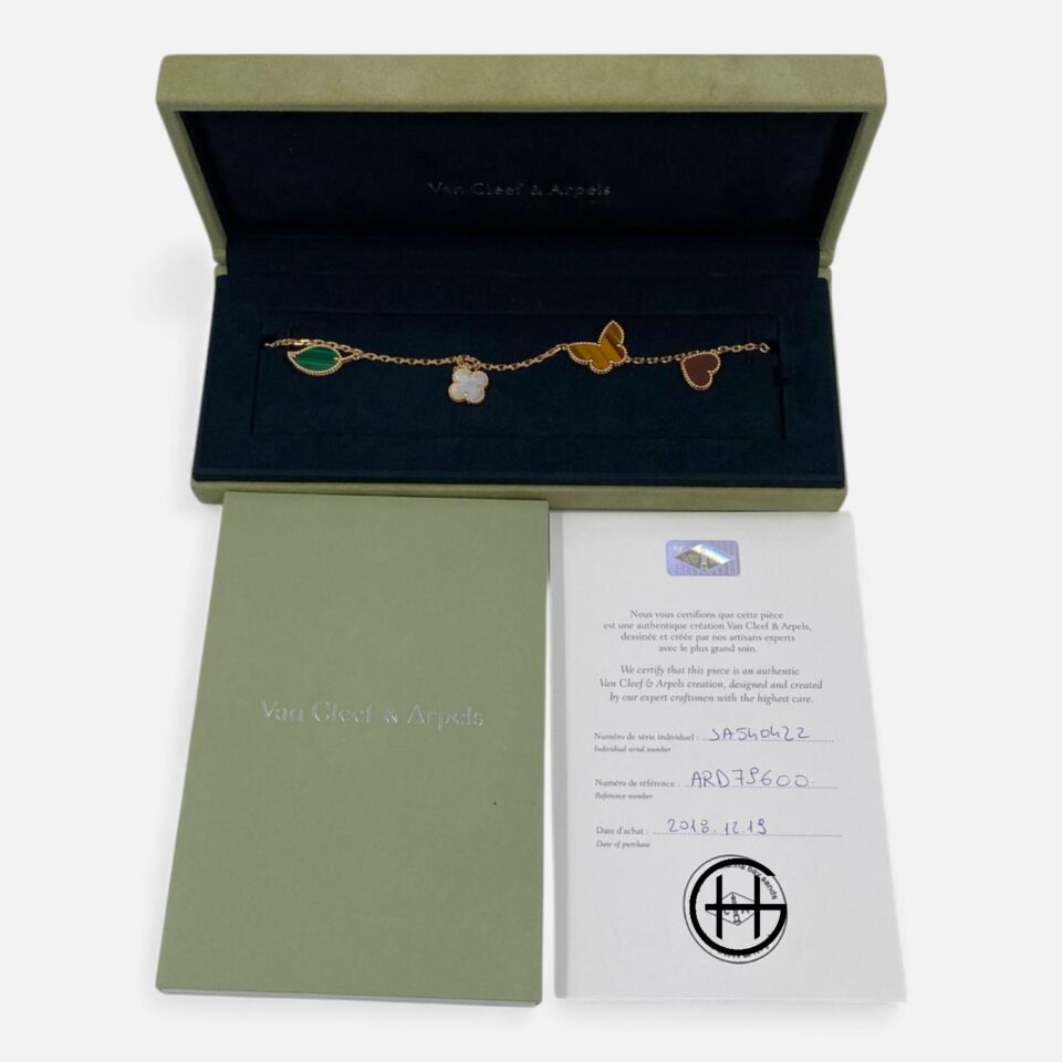 WhatsApp Image 2025-10-15 at 5.57.04 PM